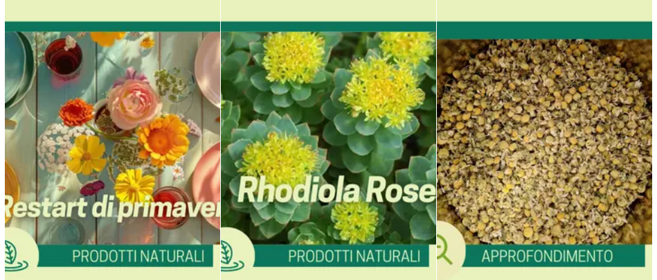 Erbe Officinali - Herbora