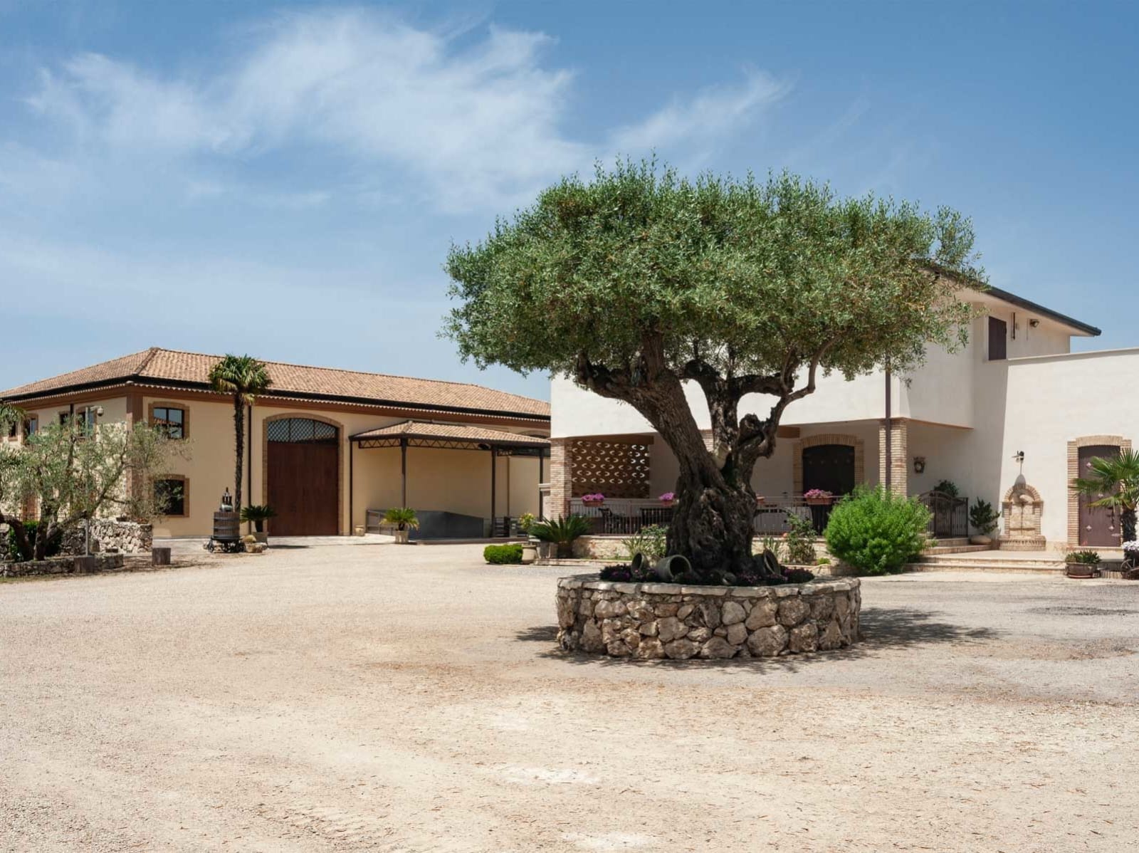Cantina Bagliesi