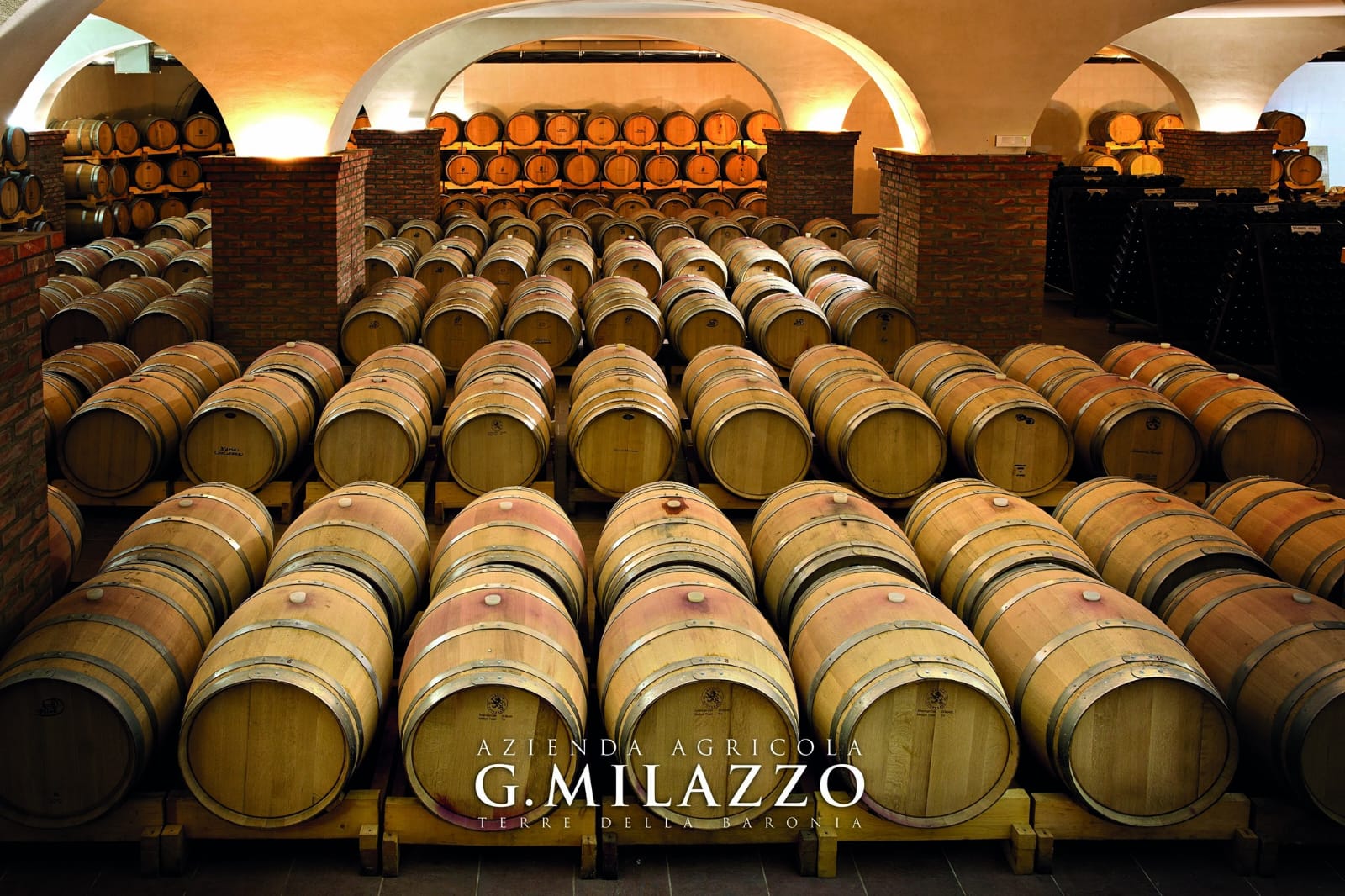 La barricaia delle Cantine Milazzo con le botti di rovere in fila