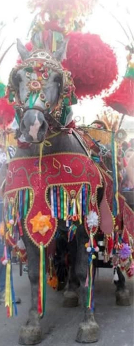 Dettaglio della bardatura cerimoniale di un cavallo alla Rietina